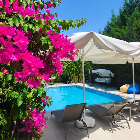 Begonvilla Fethiye-goecek Mugla