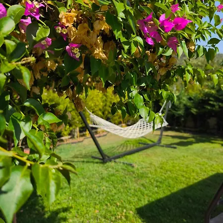 Begonvilla Fethiye-goecek Mugla
